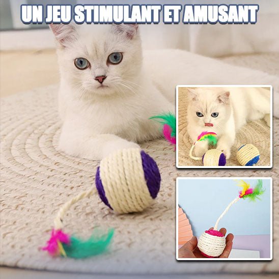 Catsisalscratchingballtoy™ - RAYON CHAT